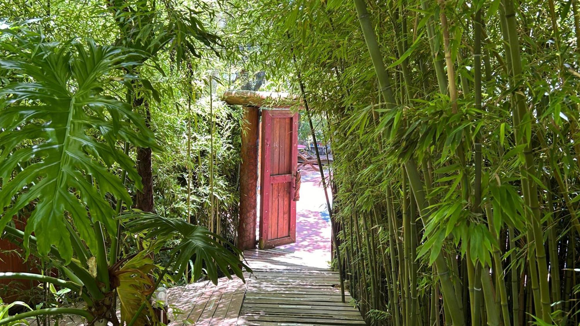 The Bamboo Lodge In Knysna Bagian luar foto