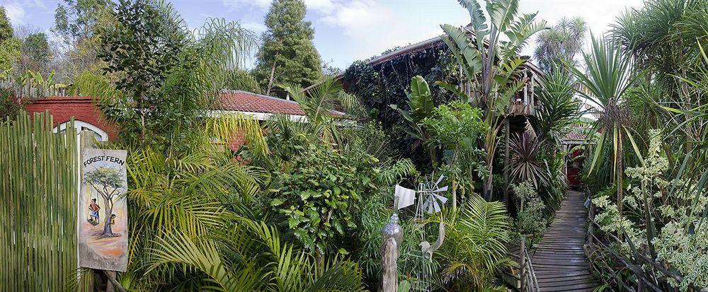 The Bamboo Lodge In Knysna Bagian luar foto