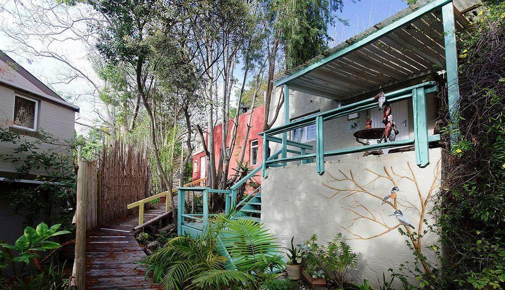 The Bamboo Lodge In Knysna Bagian luar foto